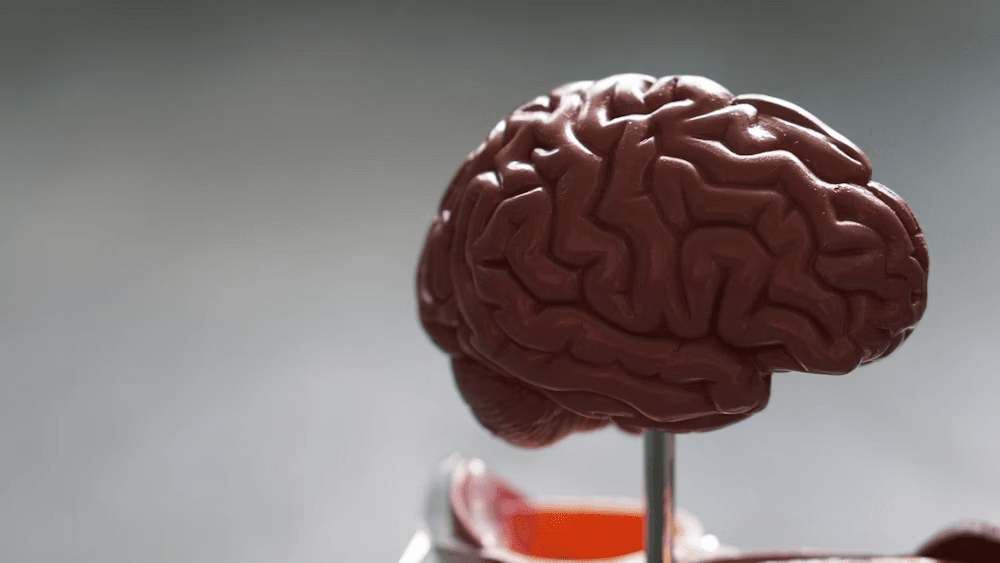 NeuroScan AI